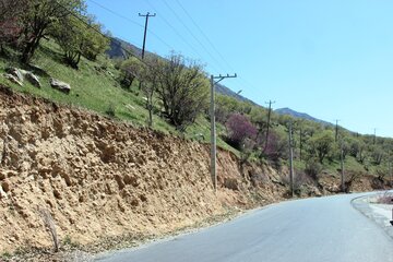 بهار زیبا در دره ارغوان