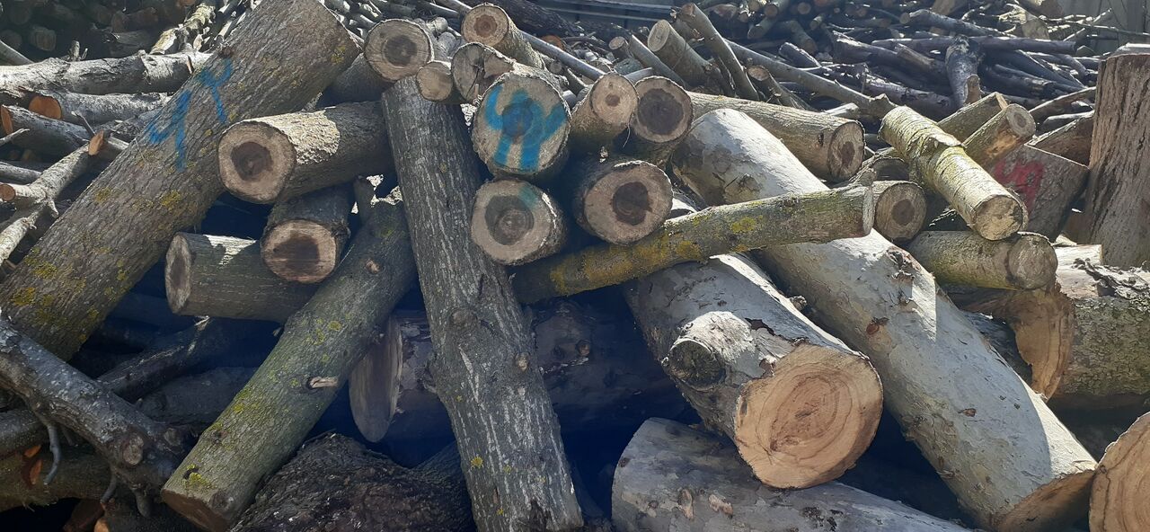 تولید چوب حرارتی با حمایت صندوق نوآوری و شکوفایی