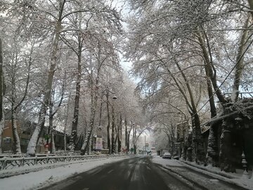 Snowy day in 1st days of winter in Tehran