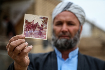 Les chevaux turkmènes de race pure dans la province du Khorasan du Nord