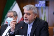 صالحی‌امیری: اولویت اول ورزش توسعه انسانی و فرهنگی است