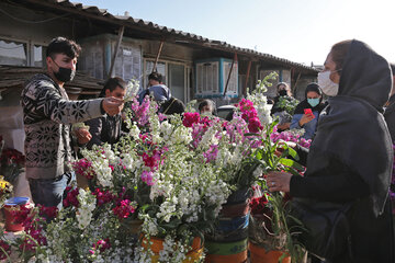 بازار گل شهید محلاتی