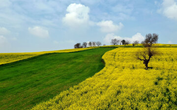 بهار در مازندران