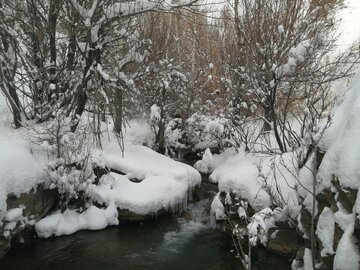 Snowy day in 1st days of winter in Tehran