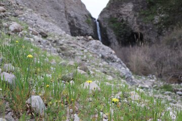 چشم اندازهایی از بهار در طبیعت اندیکا