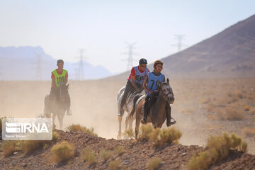 Endurance riding competition in Iran