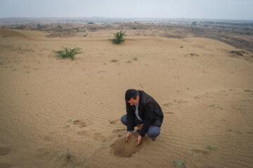 مالچ پاشی در خوزستان