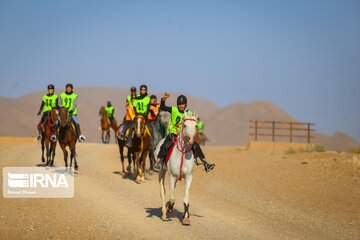 Endurance riding competition in Iran