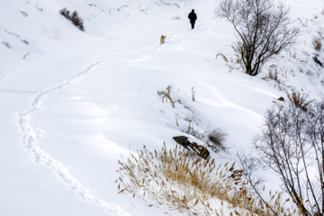 La beauté de la nature hivernale dans le village de Chibli, au nord-ouest du pays