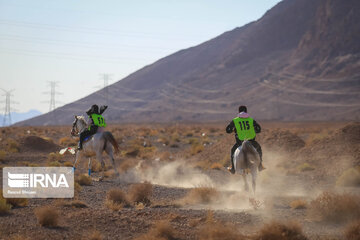 Endurance riding competition in Iran