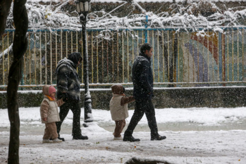 Iran-décembre 2024 : chutes de neige d’automne à Rasht au nord (Photo : Mojtaba Mohammadi)