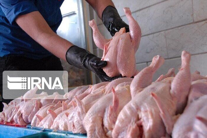 پنج میلیون قطعه مرغ گوشتی وارد بازار آذربایجان غربی می‌شود
