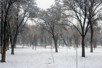 Les images des chutes de neige à Qazvin