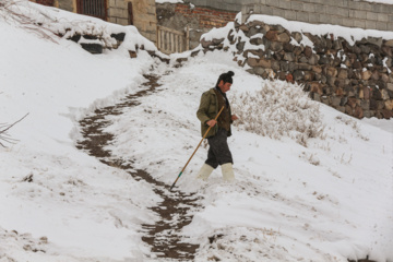 بارش برف زمستانی در روستای اسکندان اسکو