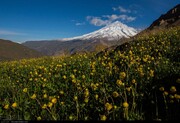 توقف ثبت جهانی قله دماوند در ایستگاه محرومیت از پایگاه دائمی