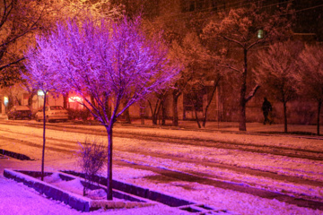 Caída de nieve otoñal en Tabriz