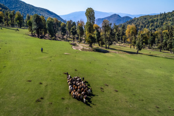 Iran: plaine de Markouh dans la province du Golestan au nord