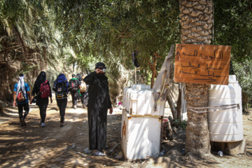 Arbaeen walk; Divaniyeh to Kufa route