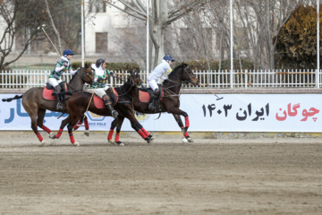 لیگ ملی چوگان جام لوتوس