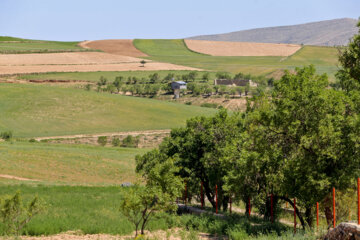 طبیعت زیبای بهاری بدرانلو