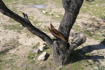 ردپای گردشگران در طبیعت روستای مهارلو