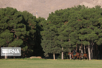 Women's Tehran Cup Polo Championship