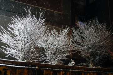 Iran : chute de neiges à Sanandaj 