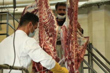 شناسایی تخلفات توزیع‌کنندگان گوشت قرمز فارس:فرار مالیاتی ۶۷۰ میلیارد ریالی