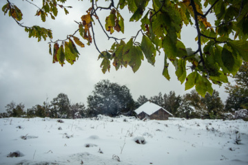 Nieve otoñal en Mazandarán