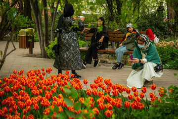 مهمانی لاله ها در باغ ایرانی