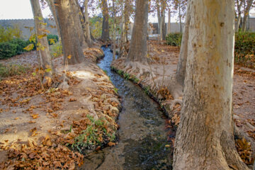 Autumn leaves in Pahlavanpur Garden