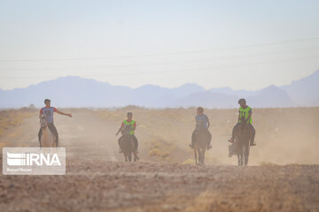 Endurance riding competition in Iran