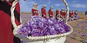 افغانستان در سال گذشته ۲۲میلیون دلار زعفران صادر کرده است