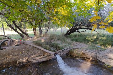 پاییز رنگارنگ میاندوآب‌