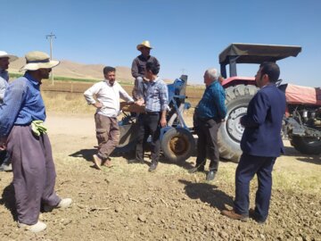 کشت مکانیزه سیر برای نخستین‌بار در بوکان