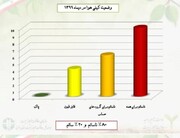 دیماه نفس گیر هوای البرز تداوم دارد