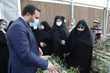 سفر معاونت امور زنان و خانواده ریاست جمهوری به فارس