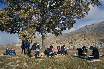 در جستجوی شبکه