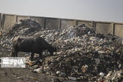 چالش زباله در شهرهای خوزستان