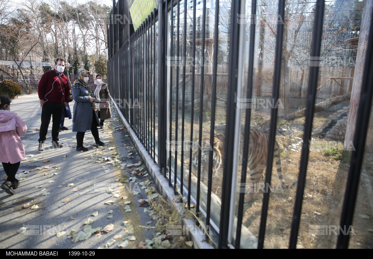 بازگشایی باغ وحش ارم تهران