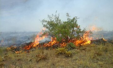 آتش‌سوزی در جنگل‌های اندبیل خلخال مهار شد