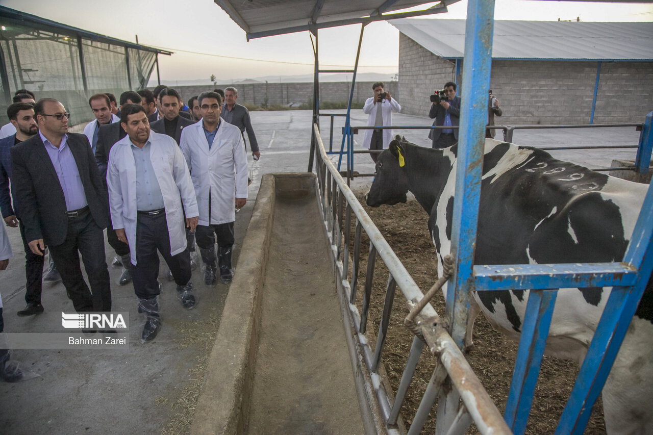 سفر رییس ستاد اجرایی فرمان امام ( ره ) به کرمانشاه