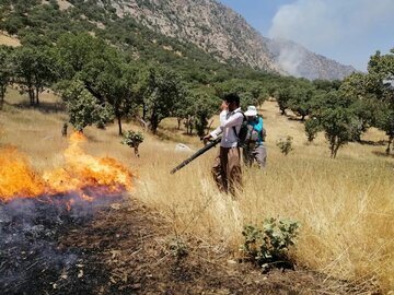 دستگاه دمنده نیاز جدی برای مهار آتش‌سوزی بوزین و مرخیل است