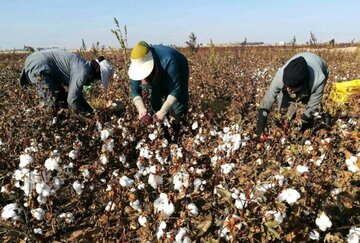 ۱۲ هزار و ۱۳۰ نفر  عضو صندوق بیمه اجتماعی روستاییان خراسان‌شمالی شدند