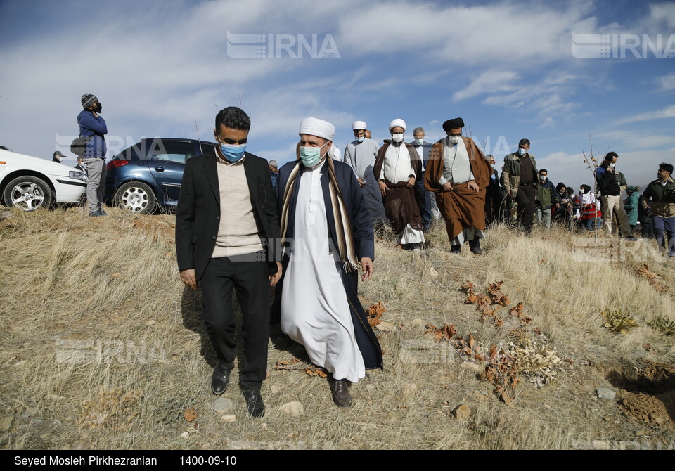 پویش مردمی بذرکاری برای احیای جنگل های زاگرس