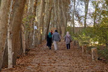 Autumn leaves in Pahlavanpur Garden