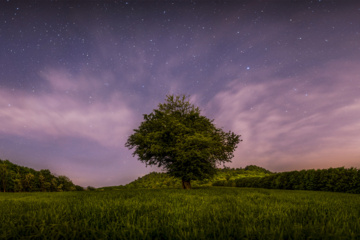 En el corazón de la noche..