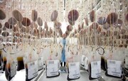 ذخیره‌سازی ۲ هزار و ۲۰۰ نمونه‌ سلول‌های بنیادی خون بندناف در استان اردبیل