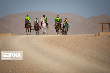 Endurance riding competition in Iran