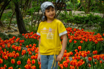 Fiesta de tulipanes en el Jardín Iraní